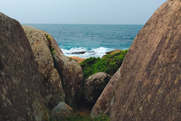 Libreation Sea